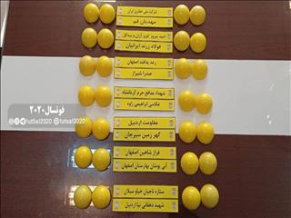 گروه بندی مسابقات لیگ دسته اول امید کشور
