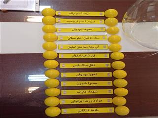 گروه بندی مسابقات لیگ دسته اول امید کشور